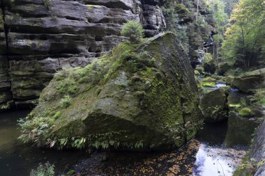 Vahşi sonbahar Creek Kamenice kumtaşı kayalar, Çek Cumhuriyeti ile çek İsviçre etrafında peyzaj