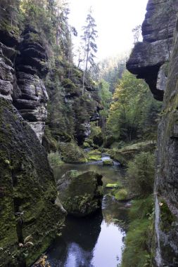 Vahşi sonbahar Creek Kamenice kumtaşı kayalar, Çek Cumhuriyeti ile çek İsviçre etrafında peyzaj