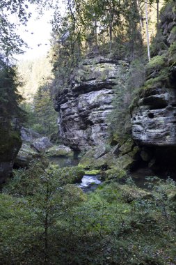 Vahşi sonbahar Creek Kamenice kumtaşı kayalar, Çek Cumhuriyeti ile çek İsviçre etrafında peyzaj