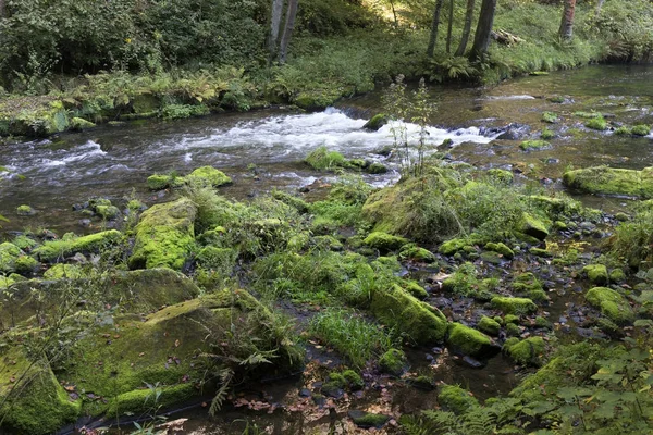 Divoké podzimní krajina kolem Kamenice Creek českého Švýcarska s pískovcovými balvany, Česká republika — Stock fotografie