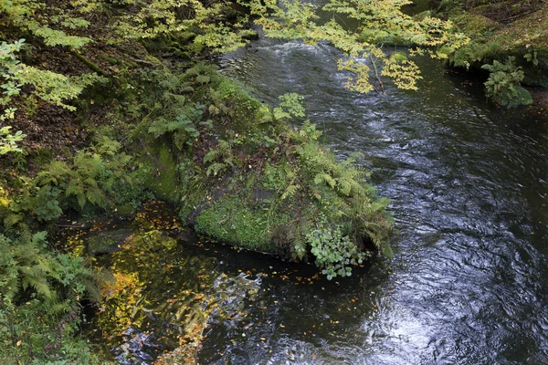 Vahşi sonbahar Creek Kamenice kumtaşı kayalar, Çek Cumhuriyeti ile çek İsviçre etrafında peyzaj