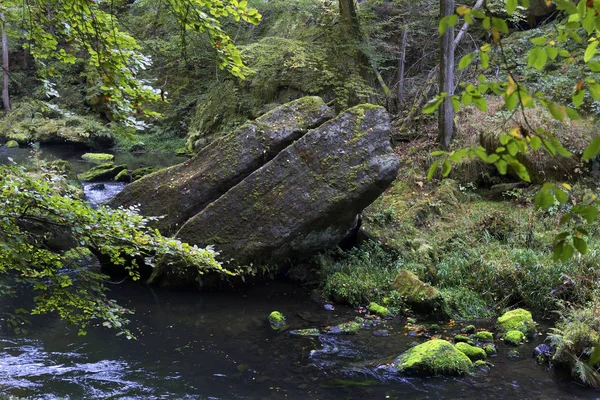 Vahşi sonbahar Creek Kamenice kumtaşı kayalar, Çek Cumhuriyeti ile çek İsviçre etrafında peyzaj