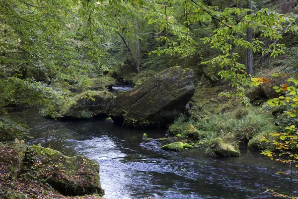 Vahşi sonbahar Creek Kamenice kumtaşı kayalar, Çek Cumhuriyeti ile çek İsviçre etrafında peyzaj