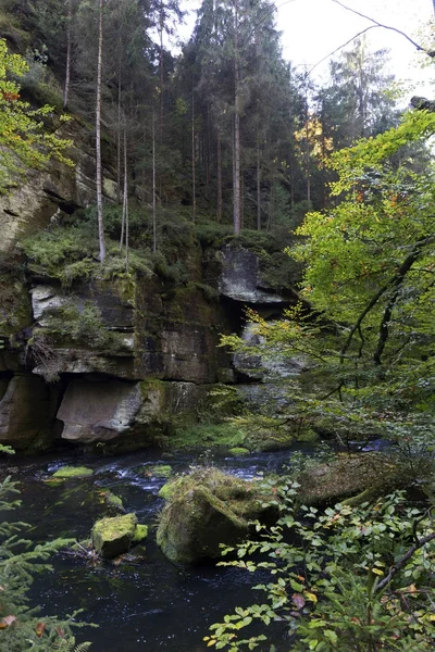 Vahşi sonbahar Creek Kamenice kumtaşı kayalar, Çek Cumhuriyeti ile çek İsviçre etrafında peyzaj