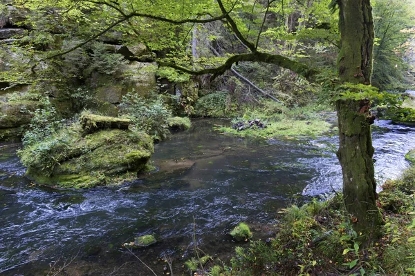 Paysage d'automne sauvage autour du ruisseau Kamenice en Suisse tchèque avec Sandstone Boulders, République tchèque — Photo