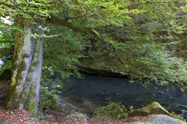 Wild autumn Landscape around the Creek Kamenice in the Czech Switzerland with Sandstone Boulders, Czech Republic — Stock Photo, Image