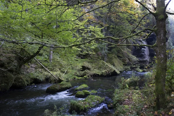 Dziki jesień krajobraz wokół Kamenice Creek w Czeskiej Szwajcarii i głazy piaskowca, Republika Czeska — Zdjęcie stockowe