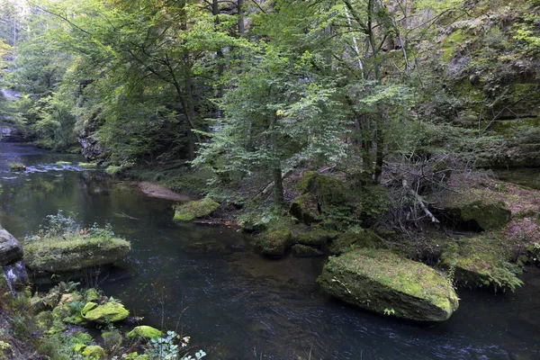 Άγρια φθινόπωρο τοπίο γύρω από το Kamenice Creek στο Τσέχικη Ελβετία με πέτρες ψαμμίτης, Τσεχική Δημοκρατία — Φωτογραφία Αρχείου