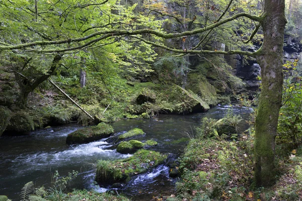 Paesaggio selvaggio autunnale intorno al torrente Kamenice nella Svizzera ceca con massi di arenaria, Repubblica Ceca — Foto Stock