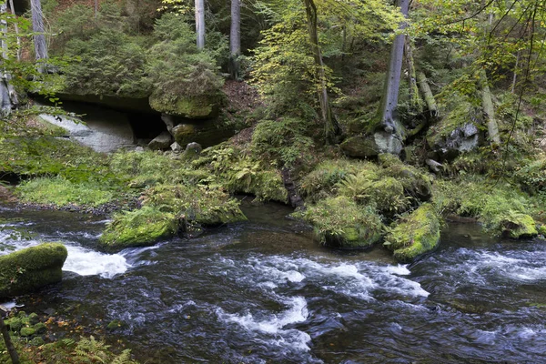 Paysage d'automne sauvage autour du ruisseau Kamenice en Suisse tchèque avec Sandstone Boulders, République tchèque — Photo