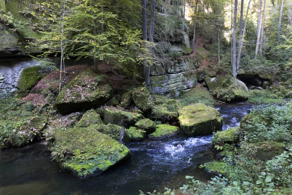 Paisaje salvaje de otoño alrededor del arroyo Kamenice en la Suiza checa con rocas arenisca, República Checa —  Fotos de Stock
