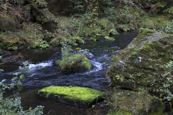 Vahşi sonbahar Creek Kamenice kumtaşı kayalar, Çek Cumhuriyeti ile çek İsviçre etrafında peyzaj