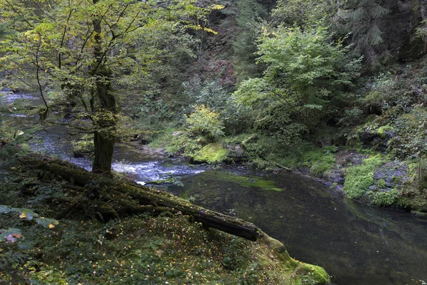 Άγρια φθινόπωρο τοπίο γύρω από το Kamenice Creek στο Τσέχικη Ελβετία με πέτρες ψαμμίτης, Τσεχική Δημοκρατία — Φωτογραφία Αρχείου