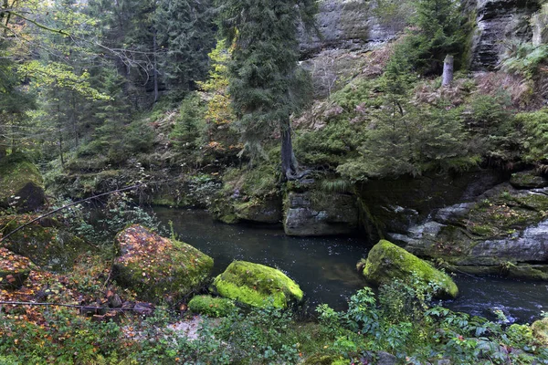 Vahşi sonbahar Creek Kamenice kumtaşı kayalar, Çek Cumhuriyeti ile çek İsviçre etrafında peyzaj — Stok fotoğraf