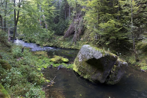 Dziki jesień krajobraz wokół Kamenice Creek w Czeskiej Szwajcarii i głazy piaskowca, Republika Czeska — Zdjęcie stockowe