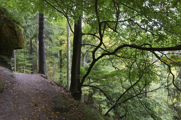 Vilda hösten landskap i tjeckiska Schweiz med sandsten klippor, Tjeckien — Stockfoto