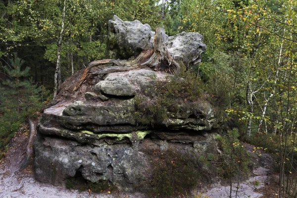 Vilda hösten landskap i tjeckiska Schweiz med sandsten klippor, Tjeckien — Stockfoto