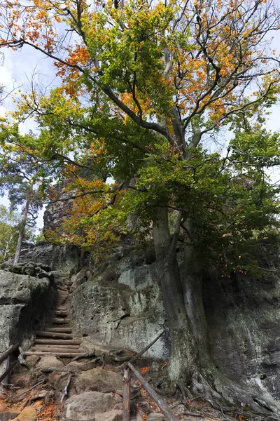 Vilda hösten landskap i tjeckiska Schweiz med sandsten klippor, Tjeckien — Stockfoto