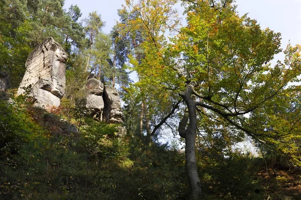 野生的秋天风景在捷克瑞士与砂岩岩石，捷克共和国 — 图库照片