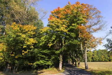 Sonbahar manzara çek İsviçre, Çek Cumhuriyeti