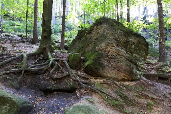 Sonbahar manzara çek İsviçre, Çek Cumhuriyeti