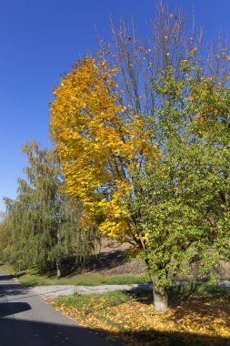 Renkli sonbahar yataydan Merkezi Bohemia, Çek Cumhuriyeti