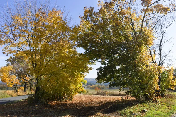 Renkli sonbahar yataydan Merkezi Bohemia, Çek Cumhuriyeti