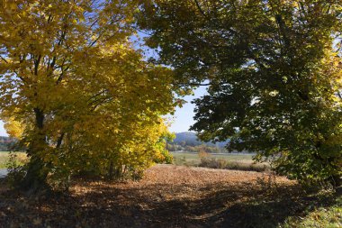 Renkli sonbahar güneşli manzara üzerinden Merkezi Bohemia, Çek Cumhuriyeti