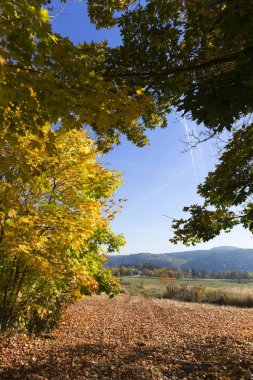 Renkli sonbahar güneşli manzara üzerinden Merkezi Bohemia, Çek Cumhuriyeti