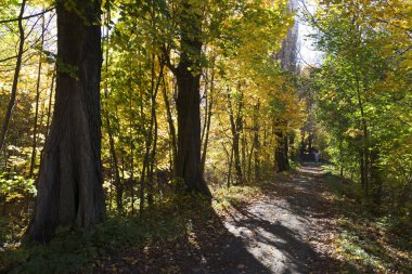 Renkli sonbahar güneşli manzara üzerinden Merkezi Bohemia, Çek Cumhuriyeti