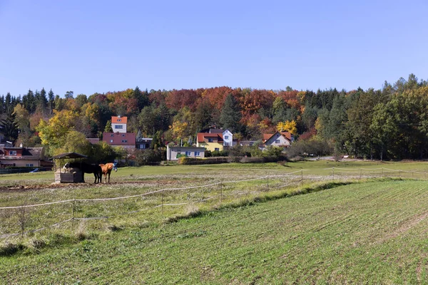 Kolorowa jesień krajobraz sunny od środkowych Czech, Republika Czeska — Zdjęcie stockowe
