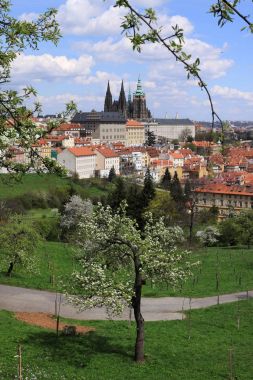 Bahar Prague City ile Gotik Kalesi ve yeşil doğa ve çiçekli ağaçlar, Çek Cumhuriyeti