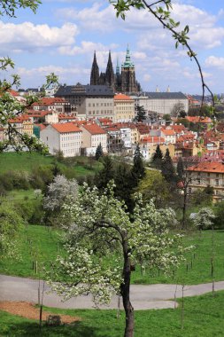 Bahar Prague City ile Gotik Kalesi ve yeşil doğa ve çiçekli ağaçlar, Çek Cumhuriyeti