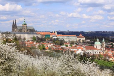 Bahar Prague City ile Gotik Kalesi ve yeşil doğa ve çiçekli ağaçlar, Çek Cumhuriyeti