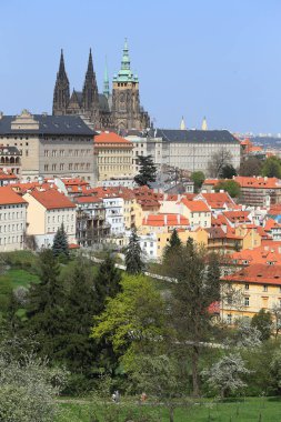 Bahar Prague City ile Gotik Kalesi ve yeşil doğa ve çiçekli ağaçlar, Çek Cumhuriyeti