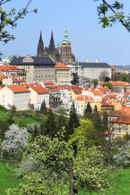 Bahar Prague City ile Gotik Kalesi ve yeşil doğa ve çiçekli ağaçlar, Çek Cumhuriyeti
