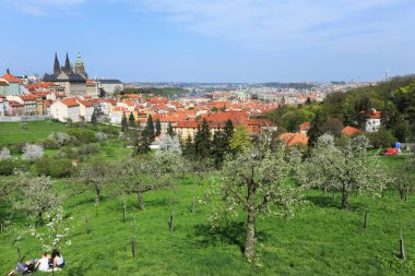 Bahar Prague City ile Gotik Kalesi ve yeşil doğa ve çiçekli ağaçlar, Çek Cumhuriyeti