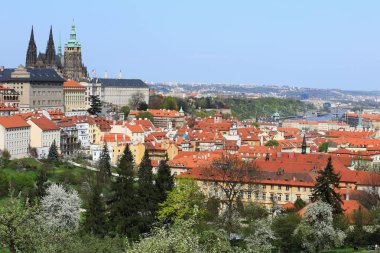 Bahar Prague City ile Gotik Kalesi ve yeşil doğa ve çiçekli ağaçlar, Çek Cumhuriyeti