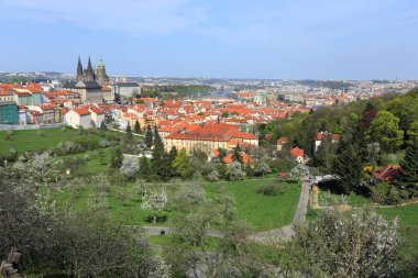 Bahar Prague City ile Gotik Kalesi ve yeşil doğa ve çiçekli ağaçlar, Çek Cumhuriyeti