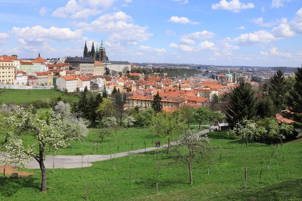 Printemps Prague Ville avec château gothique et la nature verte et des arbres à fleurs, République tchèque — Photo