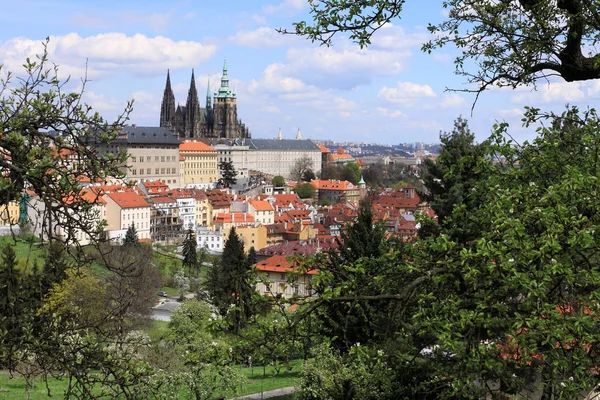 Spring City – miasto Praga z gotyckiego zamku i zieleni i kwitnących drzew, Republika Czeska — Zdjęcie stockowe