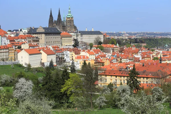 Spring Prague City com Castelo Gótico e o verde Natureza e Floração Árvores, República Checa — Fotografia de Stock