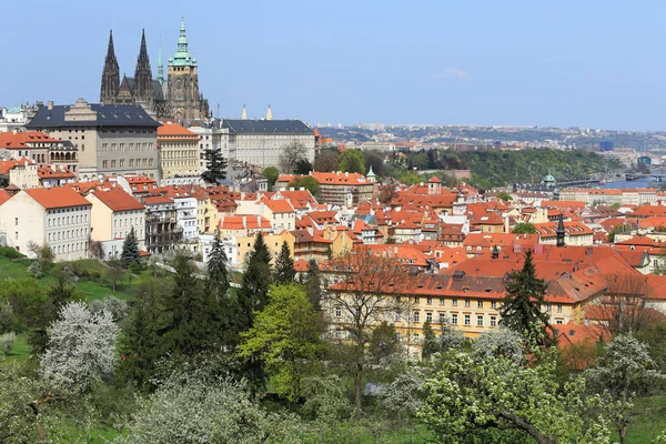 Bahar Prague City ile Gotik Kalesi ve yeşil doğa ve çiçekli ağaçlar, Çek Cumhuriyeti