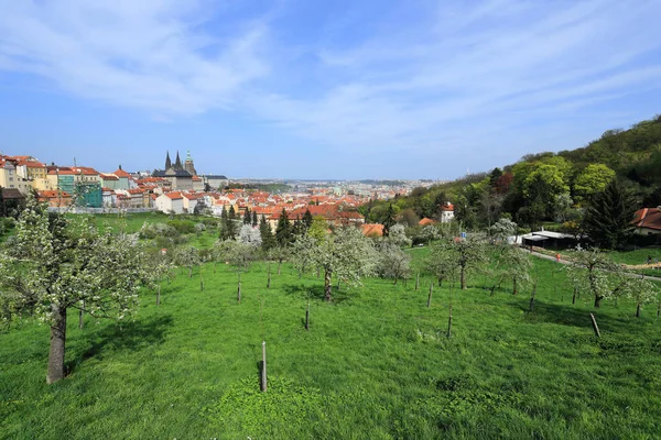 Printemps Prague Ville avec château gothique et la nature verte et des arbres à fleurs, République tchèque — Photo