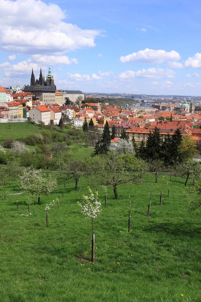 Vista sobre a cidade de Praga com seus edifícios significativos, República Checa — Fotografia de Stock