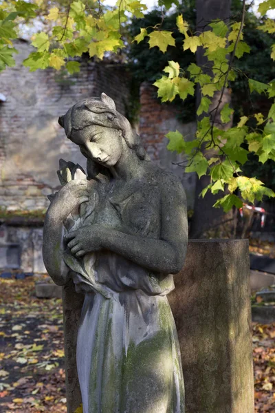 Otoño misterio antiguo cementerio de Praga Olsany con sus estatuas, República Checa —  Fotos de Stock