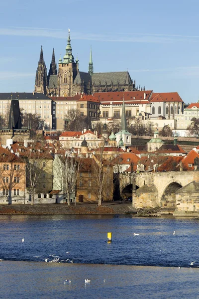 Δείτε Την Πράγα Πόλη Γοτθικό Κάστρο Τσεχική Δημοκρατία — Φωτογραφία Αρχείου