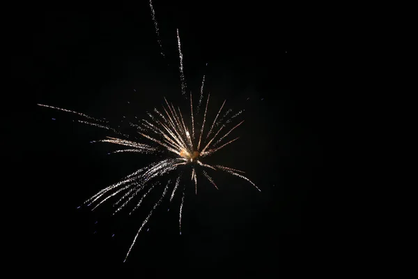 Fuochi Artificio Sul Cielo Nero Nel Dettaglio — Foto Stock