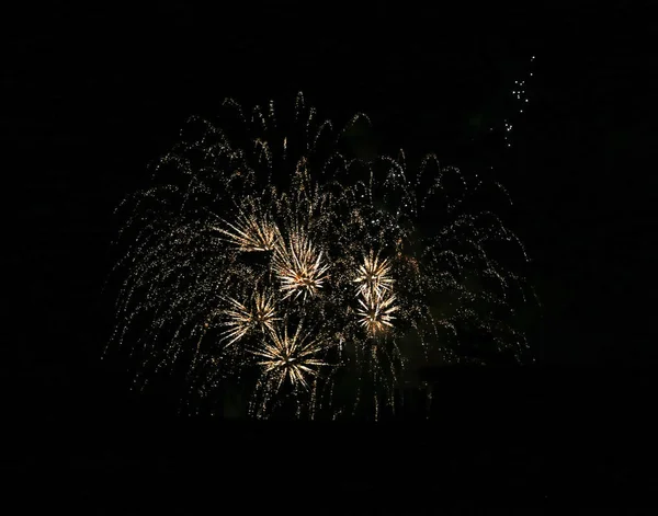 Fuochi Artificio Sul Cielo Nero Nel Dettaglio — Foto Stock