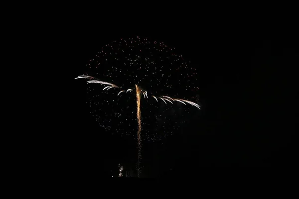 Firework Black Sky Detail — Stock Photo, Image